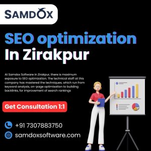 Seo optimization samdox software in zirakpur