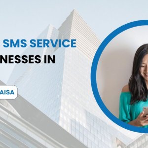 Best bulk sms service for businesses in india