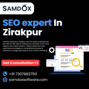 Seo expert samdox software in zirakpur