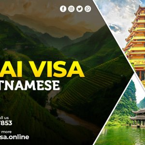 How to get a dubai visit visa for vietnamese in 3 simple steps