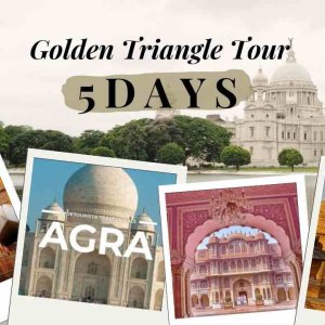 Golden triangle tour 5 days