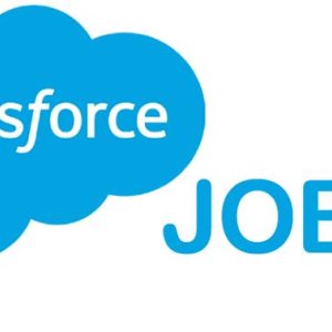 Salesforce jobs-kloud hire