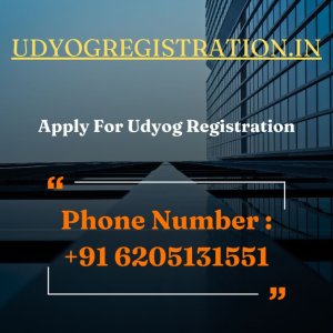 Udyog msme registration private consultancy service