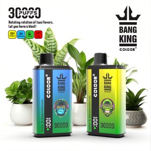 Bang 30000 30k puffs dual flavor disposable electronic cigarette