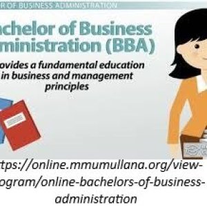 Bba online university