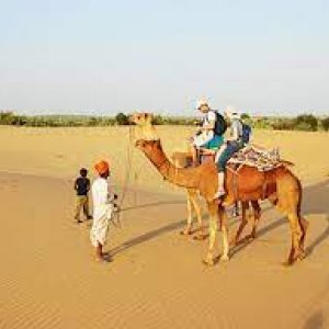 Luxury tent at jodhpur - accommodation