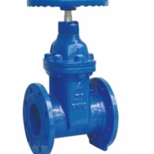 Non-rising stem resilient seated gate valve