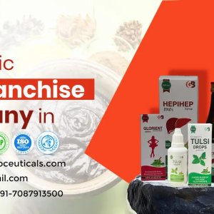 Ayurvedic pcd franchise company in india