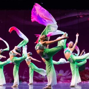 Best choreographers in noida | sloshout