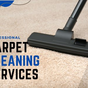 Fresh, Flawless Carpets in Coogee – Book Today