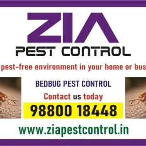 Service, other, pesticides, pest control solution