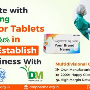 Third party ticagrelor tablet manufacturers