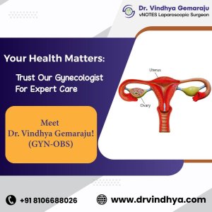 Best gynecologist in hyderabad, india - dr vindhya gemaraju