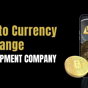 Crypto exchange development company