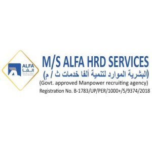 Top engineering management recruitment agencies | alfa hrd