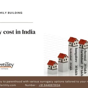 Cost of surrogacy india at the vinsfertility