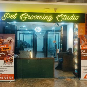 Pet grooming studio