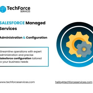 Salesforce managed services