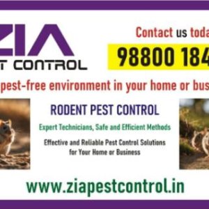 Service, other, home service, pesticides, pest control solution