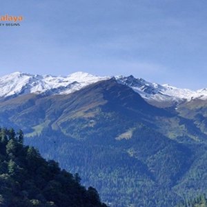 Unwind in the majestic mountains of manali