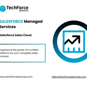 Salesforce managed services - salesforce sales cloud