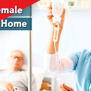 The impact of female attendants on home care quality