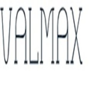 China valmax valve co, ltd