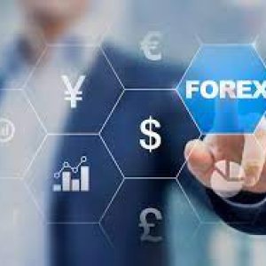 Pamm account forex