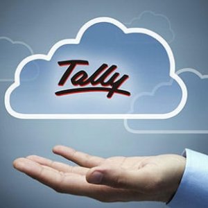 Tally software services