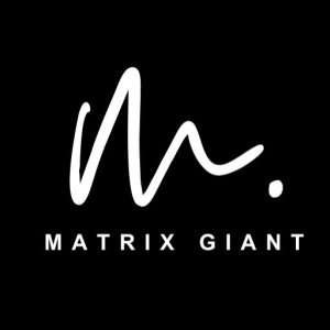 Best digital marketing agency in canada- matrixgiant