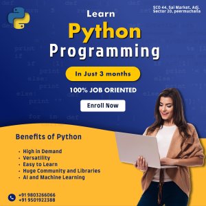 Professional python course in panchkula | enroll now