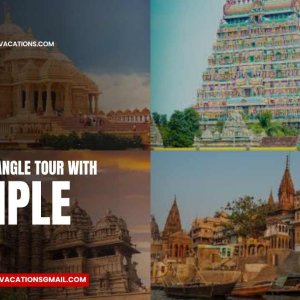 Golden triangle tour with temples