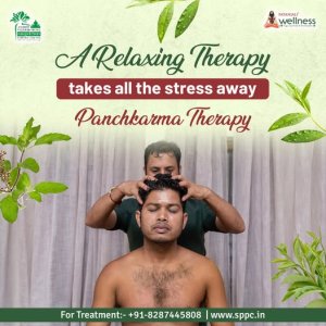 Panchakarma treatments in delhi