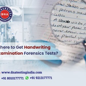 Choose us for the accurate handwriting examination test