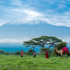 Kilimanjaro expeditions and safari bookings