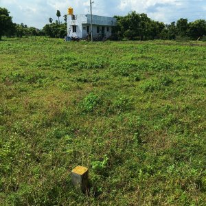 Dtcp and rera approved plots for sale at veppambattu