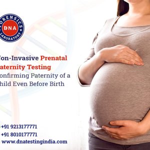 Get an accurate & reliable prenatal paternity test in india