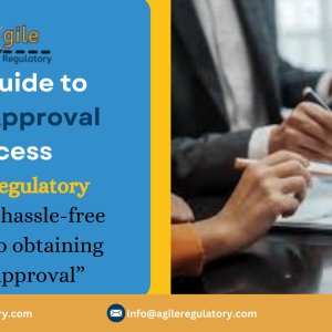 Effortless model approval with agile regulatory