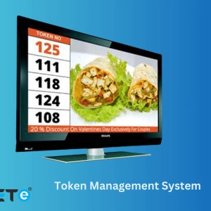 Advance e token management system in india