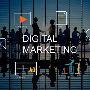 Freelance digital marketing strategist in kochi