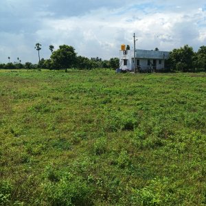 Dtcp and rera approved plots for sale at veppambattu