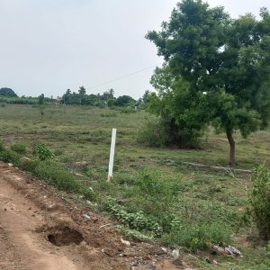 Dtcp approved plots for sale at palayaseevaram in walajabad