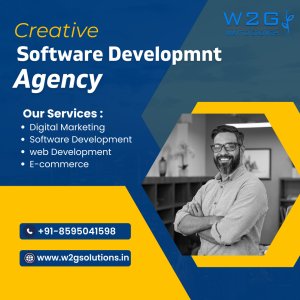 W2g solutions: delivering high-quality software in delhi