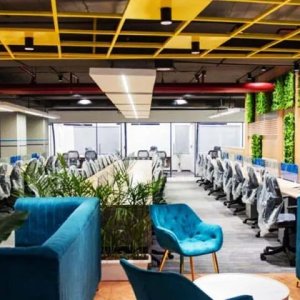 Biophilic office interior designers in gurgaon