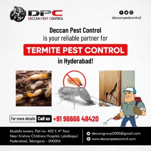 Termite pest control service