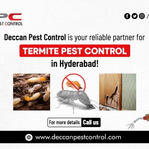 Termite pest control in hyderabad