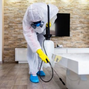 Commercial pest control services in hyderabad