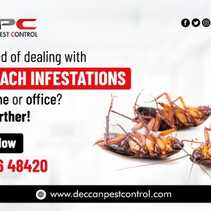 Best cockroach control services in hyderabad