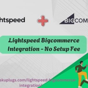 Lightspeed bigcommerce integration - no setup fee