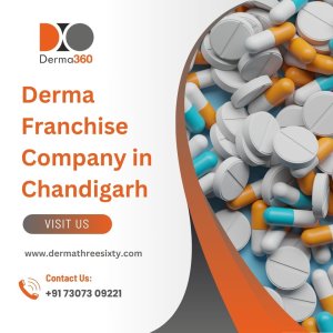 Best derma franchise company in chandigarh for skin care product